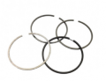 SEGMENTI/PISTON RINGS