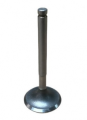 VALVE