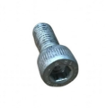 SCREW