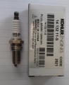 PLUG SPARK 12MM RFI